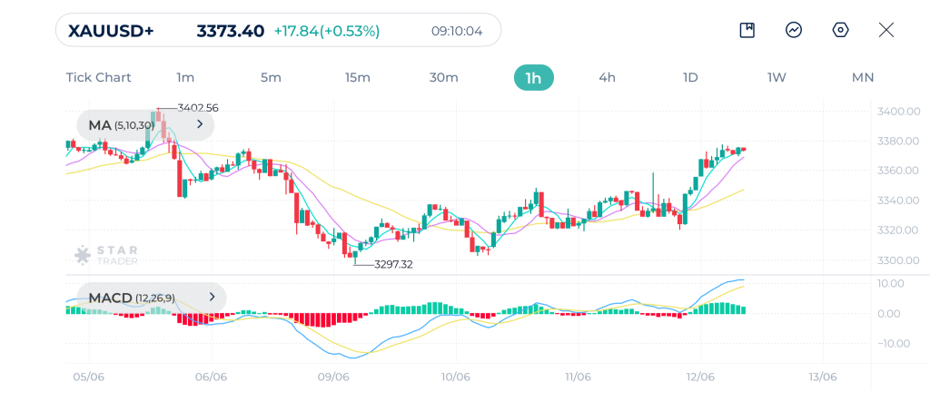 Gold (XAUUSD) 1H Chart 12-06-2025
